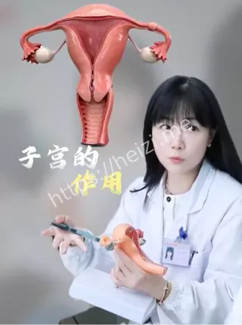 子宫切除术恢复攻略